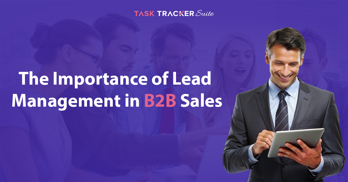 Lead Management in B2B Sales, Lead Management system