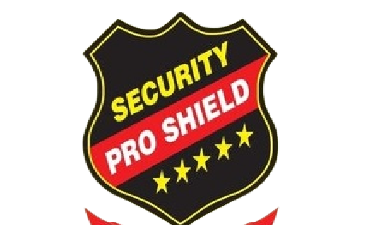 pro_security Logo